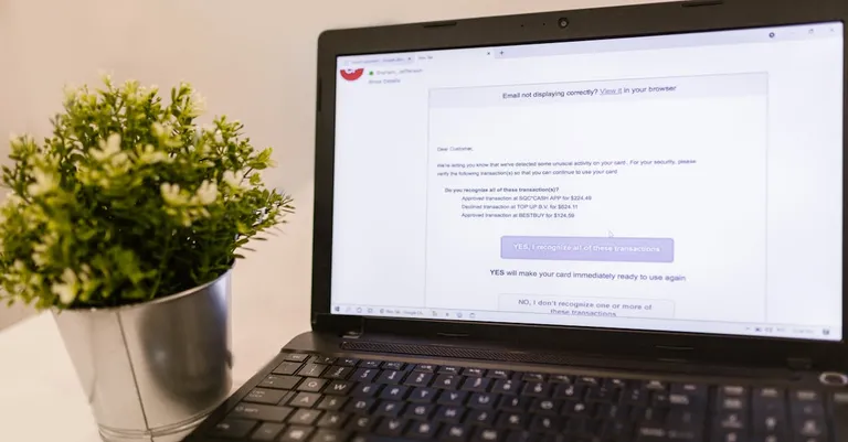 Laptop showing email inbox next to a green plant