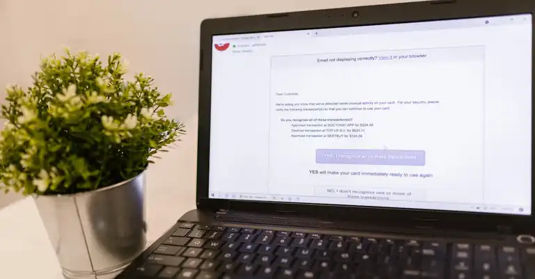 Laptop showing email inbox next to a green plant